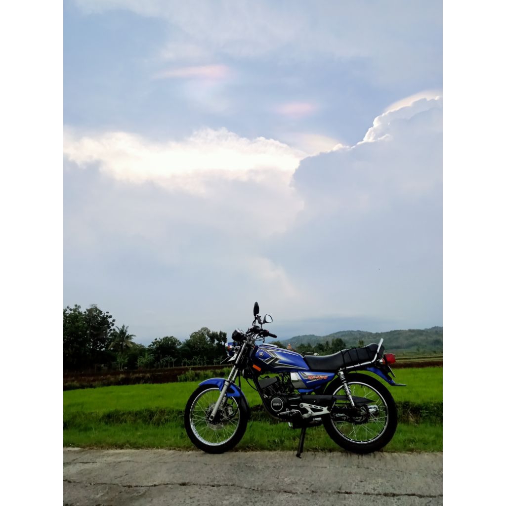 striping RX king 2004 original