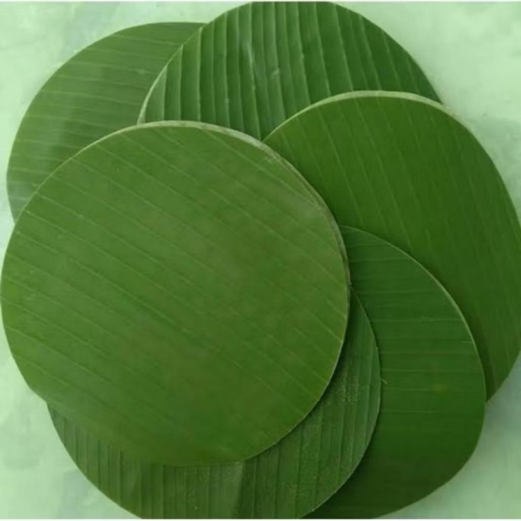 

daunpusang bulat ukuran 20 cm 30 lembar dipetik dadakan