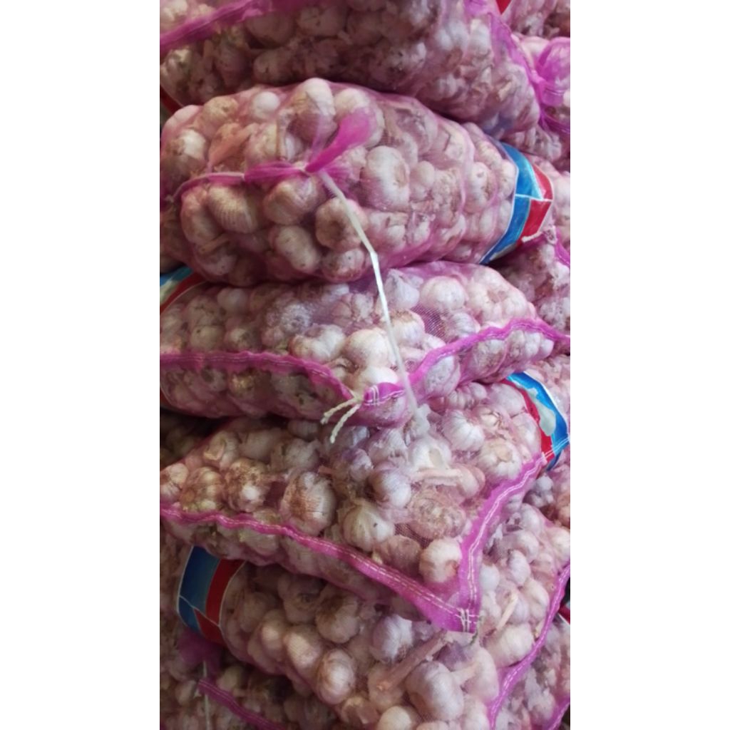 

Bawang putih honan 1kg