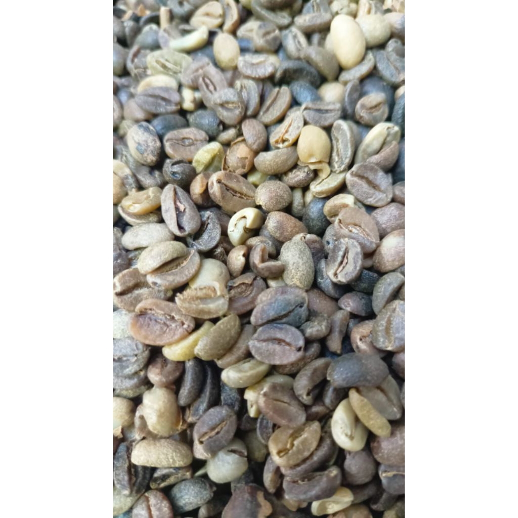 

cabutan/rijekan anaerob( candi singosari)