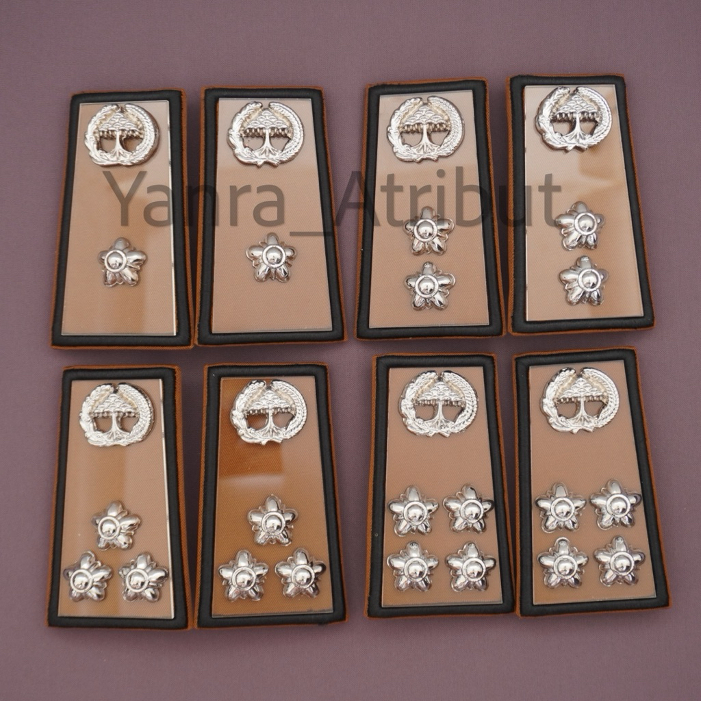 Pangkat Pns Lampung 3A / 3B / 3C / 3D Mika akrilik / Pangkat asn lampung Premium