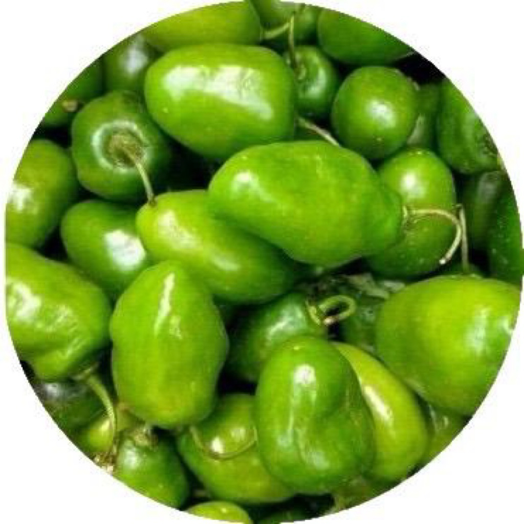 

CABE GENDOT ATAU CABE BENDOT 500 GRAM CABE VIRAL CABAI JALAPENO DIENG