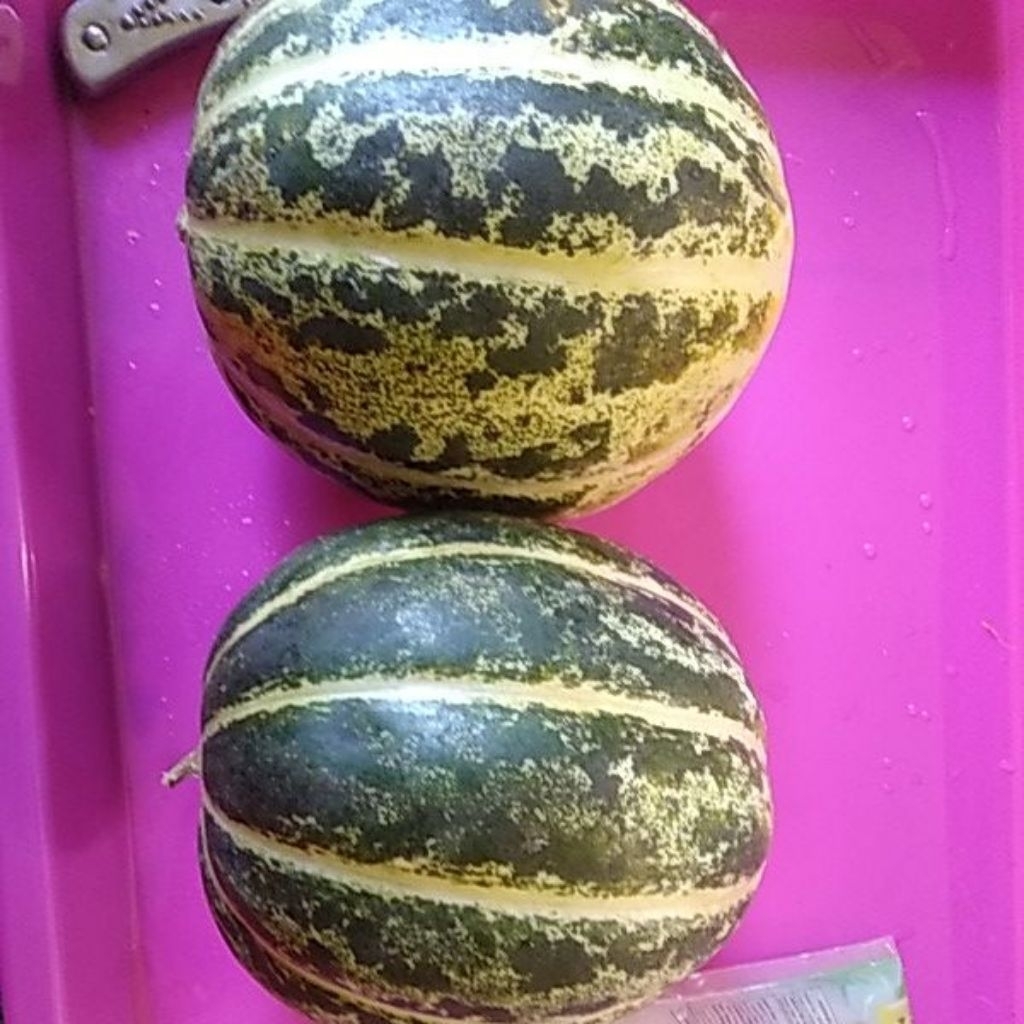 BUAH BLEWAH BELEWAH MATANG MANIS SEGAR