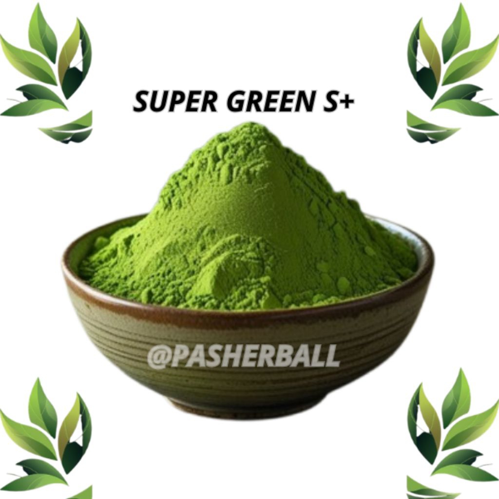 

produk langganan pasherball