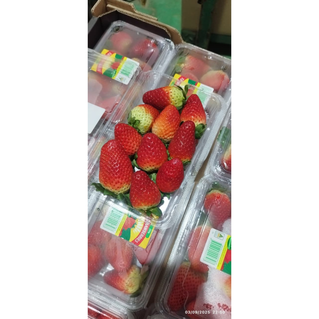 

STRAWBERRY IMPORT AUSIE / STOBERI AUSIE