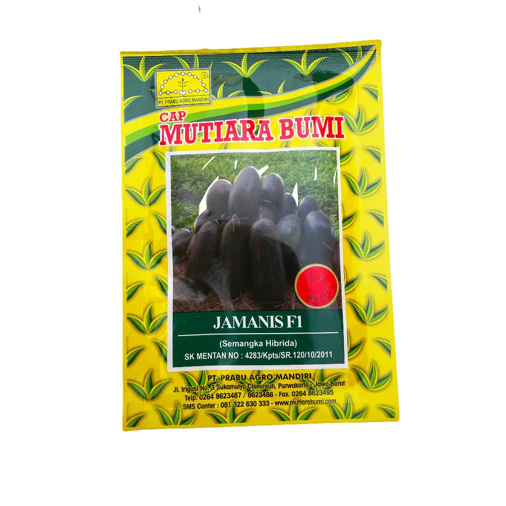 BENIH SEMANGKA INUL MUTIARA BUMI JAMANIS F1