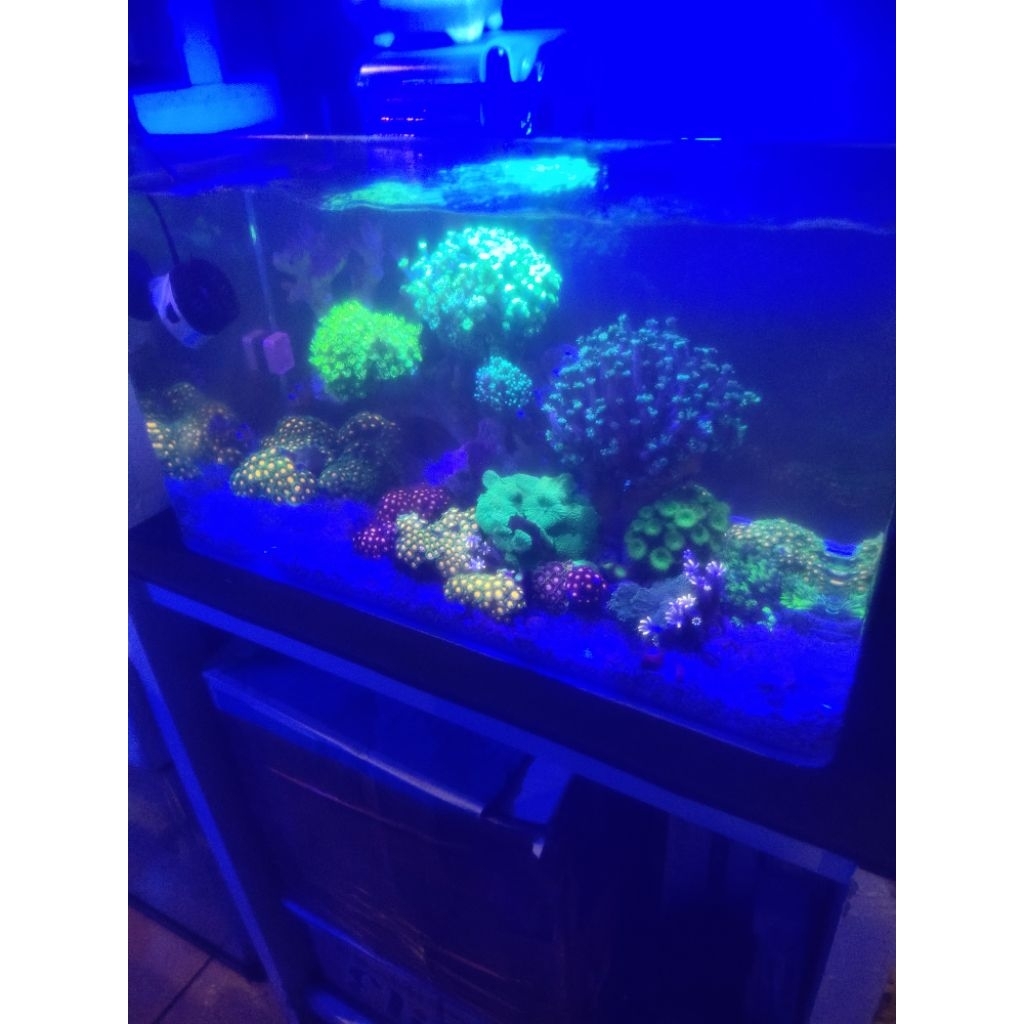 AQUARIUM BENDING FULLSET 50cm