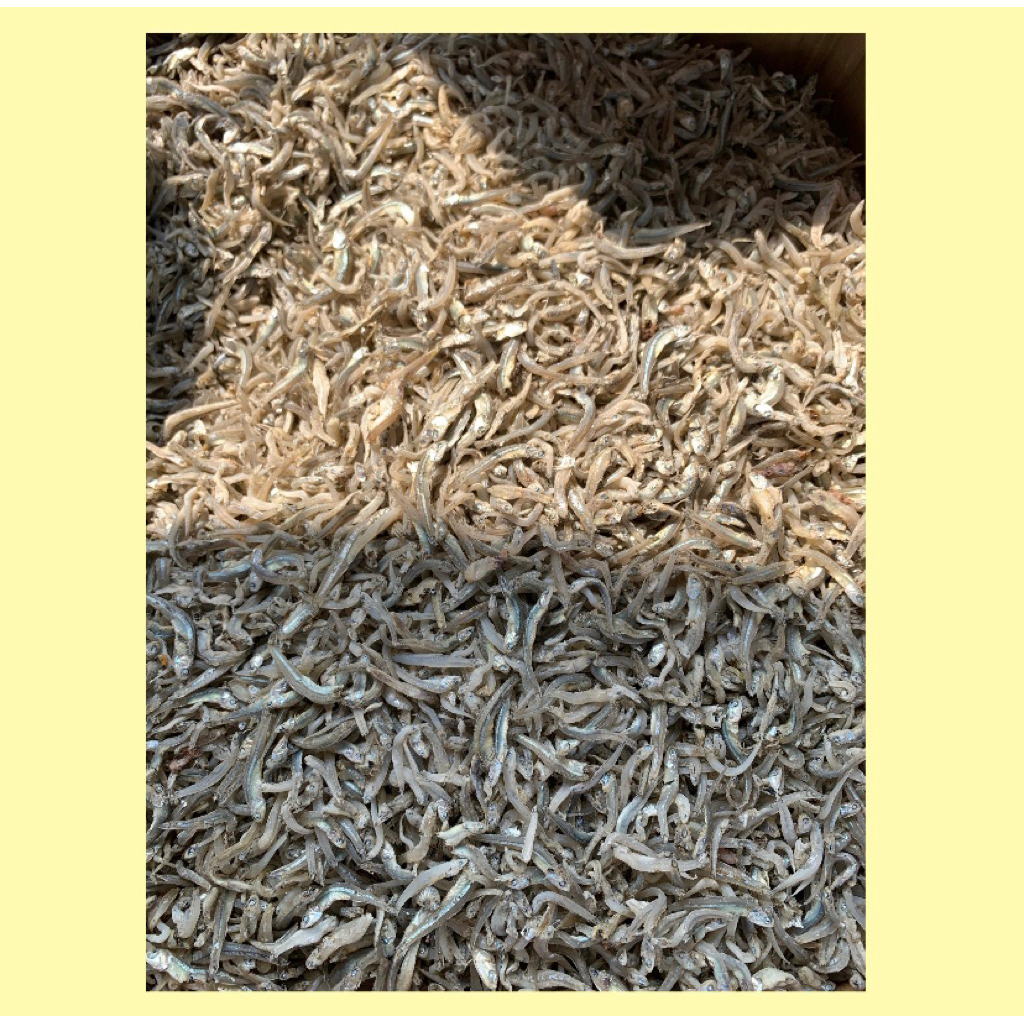 Ikan teri jengki asin / ikan teri jengki super