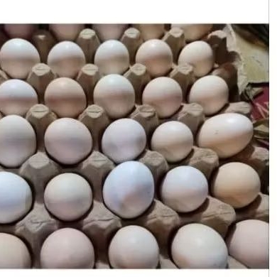 

TELOR AYAM KAMPUNG OMEGA 1 PIRING