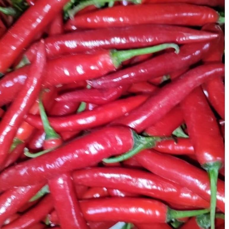 

CABE MERAH BESAR 250gr