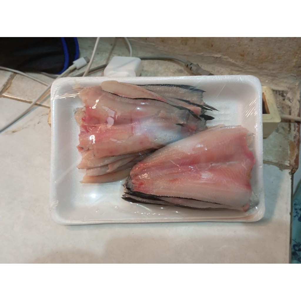 

TERMURAH | IKAN GABUS FILLET FROZEN FRESH