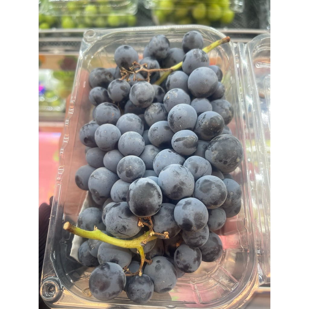 

Anggur Thimcord USA Tanpa Biji 1 Pack