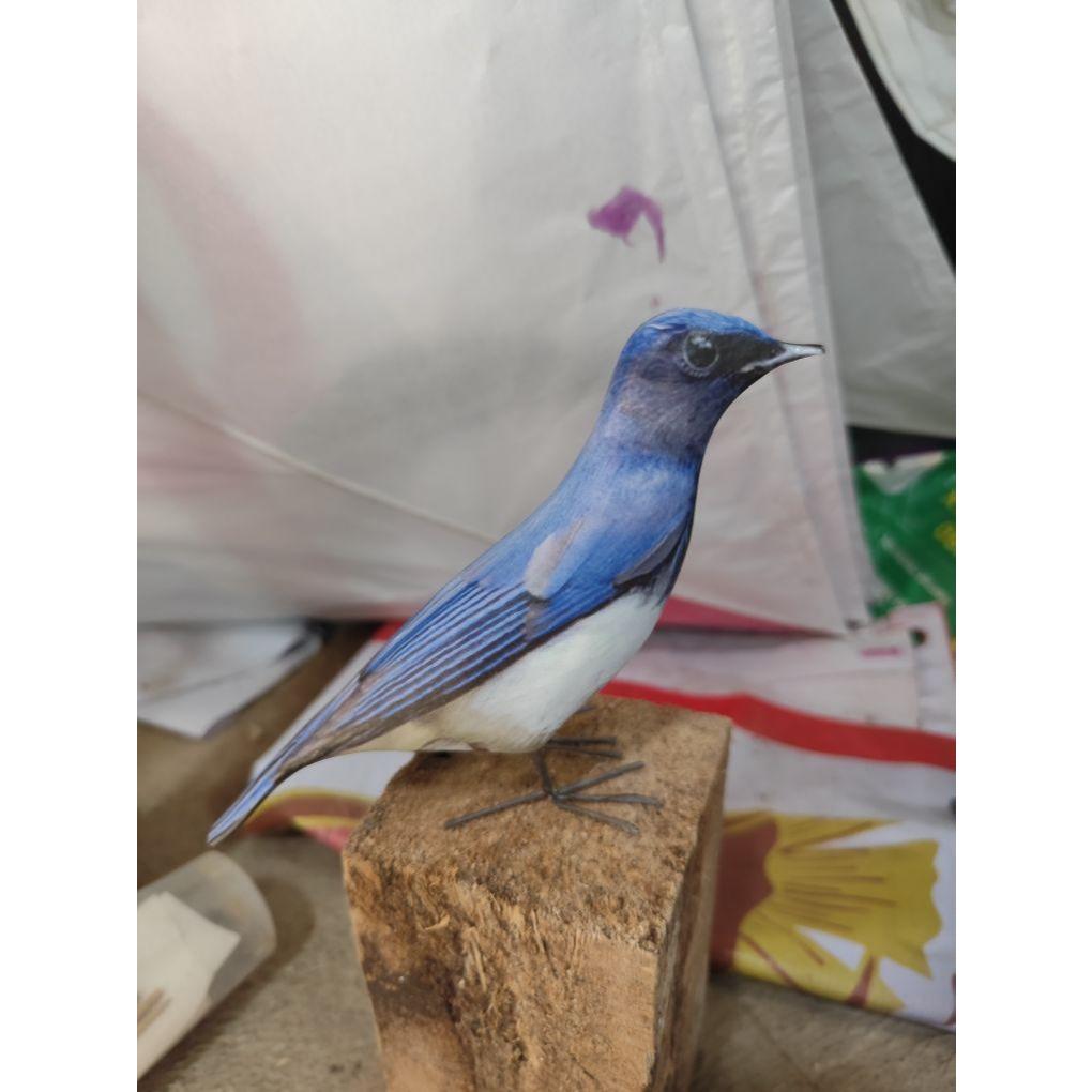 Jontrot boneka burung tledekan laut / jontrot patung manuk solendang biru