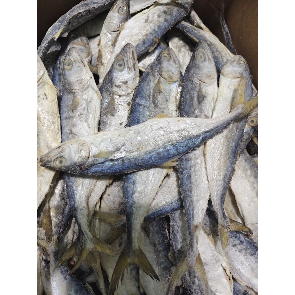 ikan asin tengiri kering