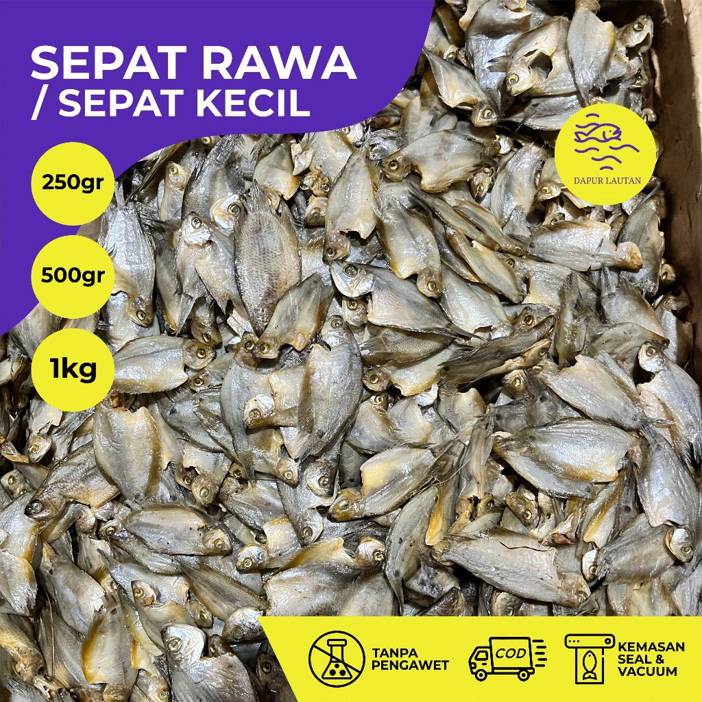 

Ikan Asin Sepat Rawa / Sepat Kecil Berat 250 gram, 500 gram & 1 kg