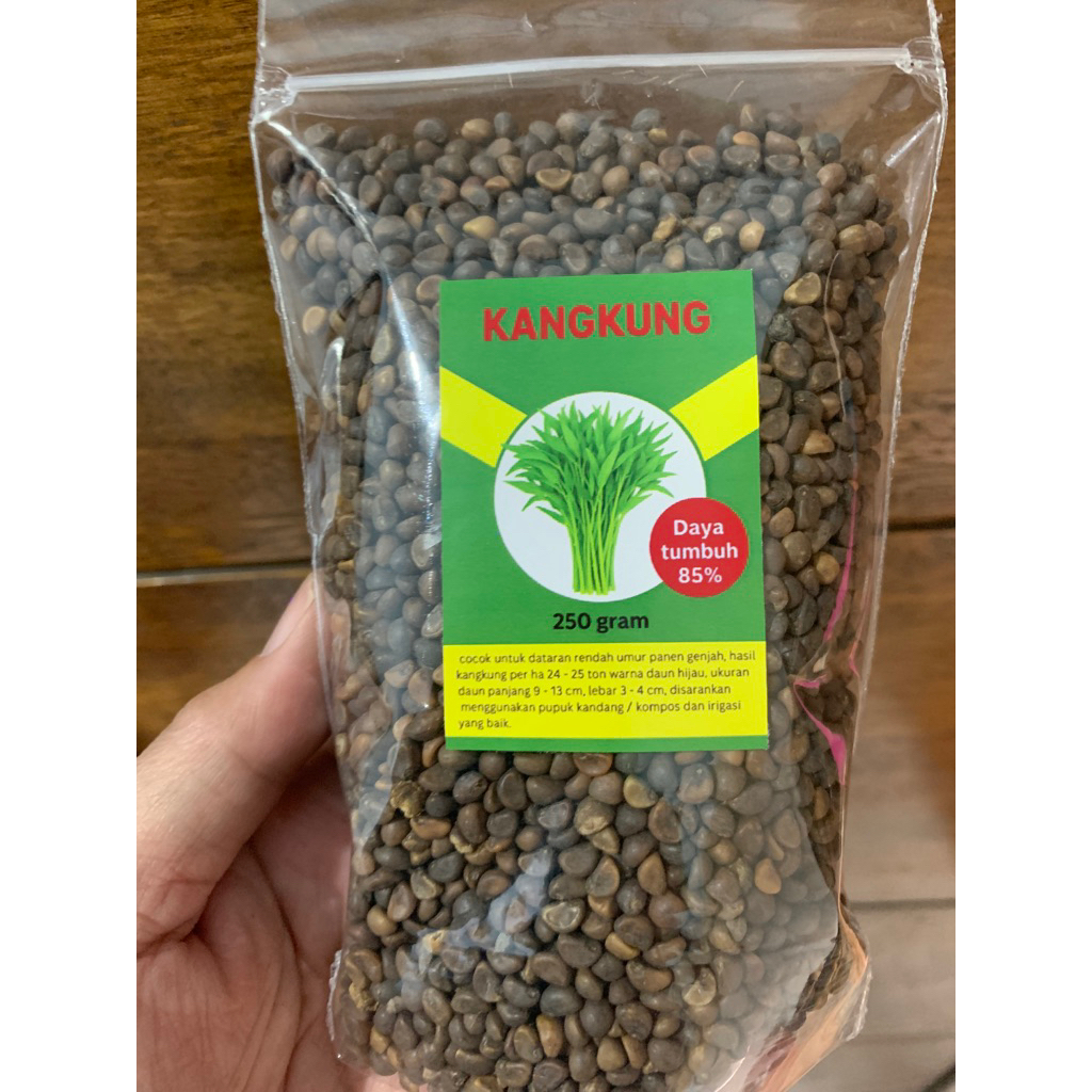 Benih kangkung 1kg premium