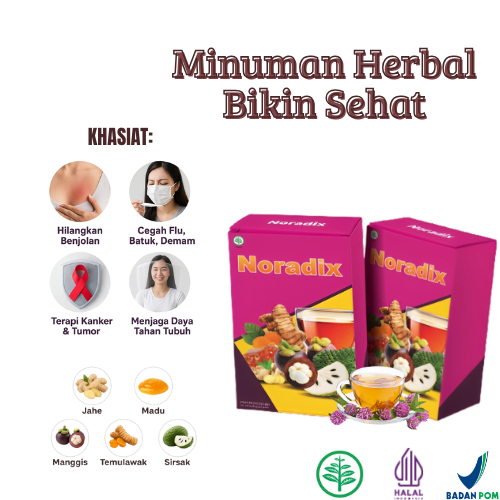 

4 Box Teh Noradix Herbal Ampuh Cegah Tumor dan Kanker