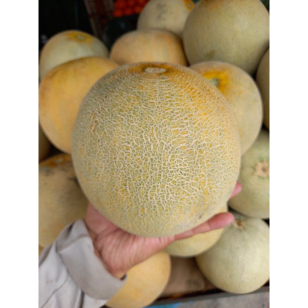 

Melon Ngawi Super