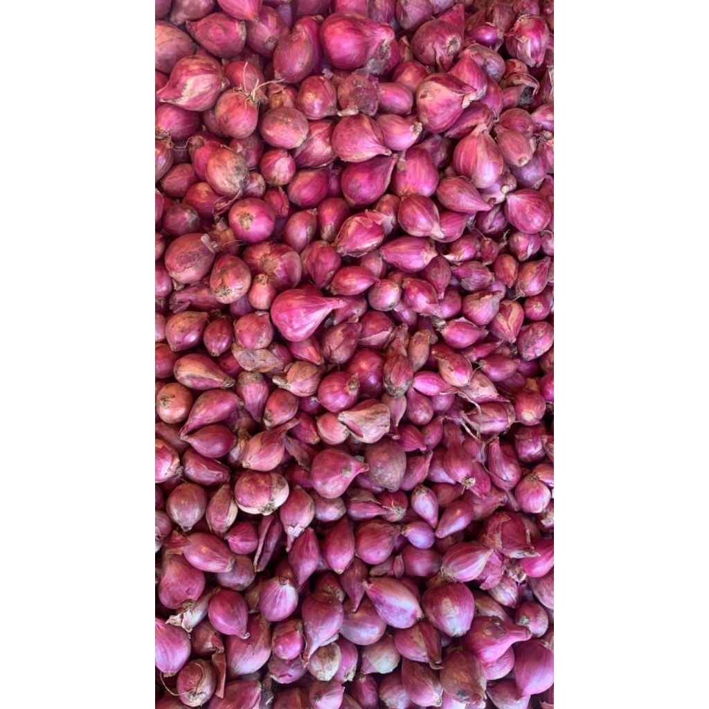 

Bawang Merah Lokal Nganjuk