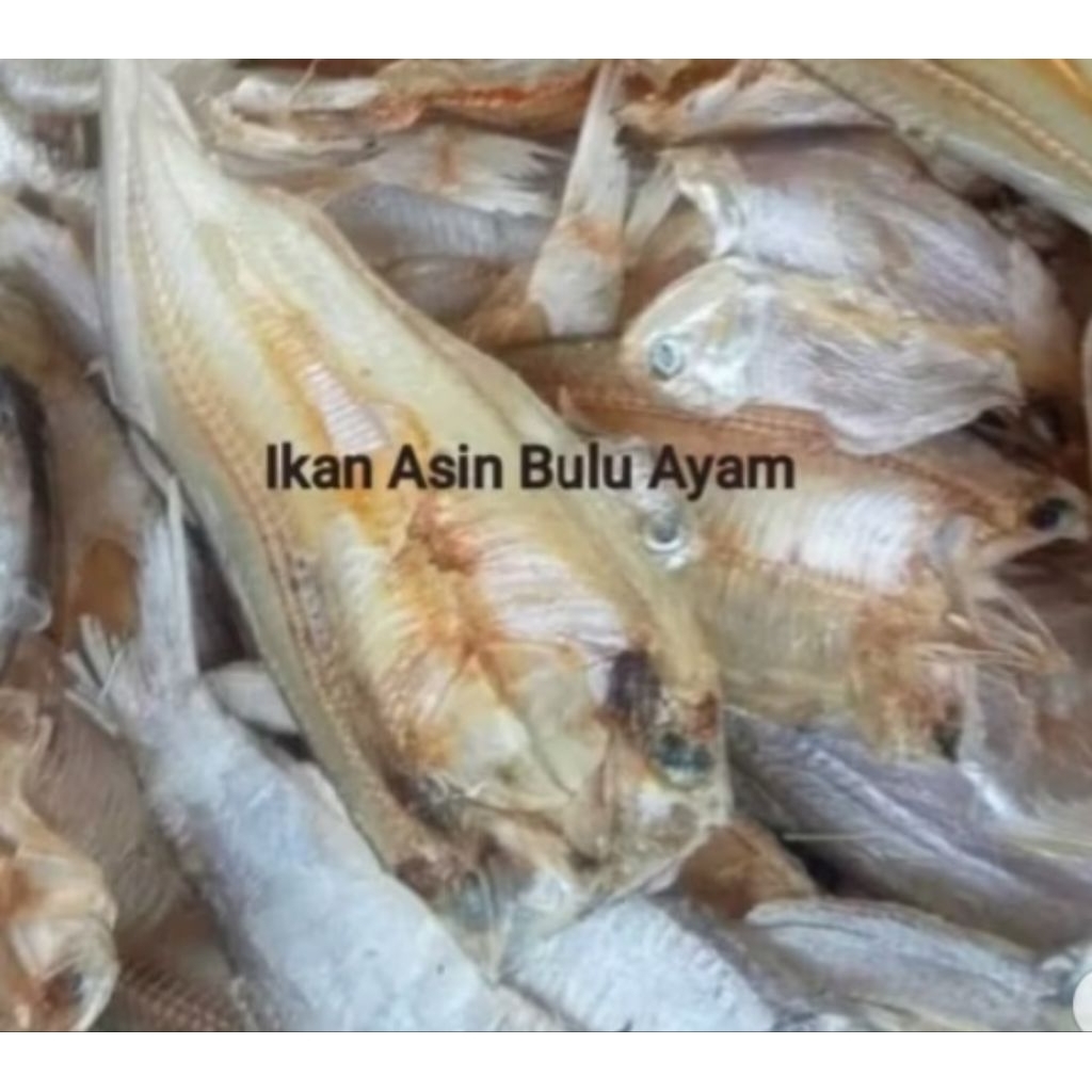 

ikan Asin Bulu Ayam Kering Gurih
