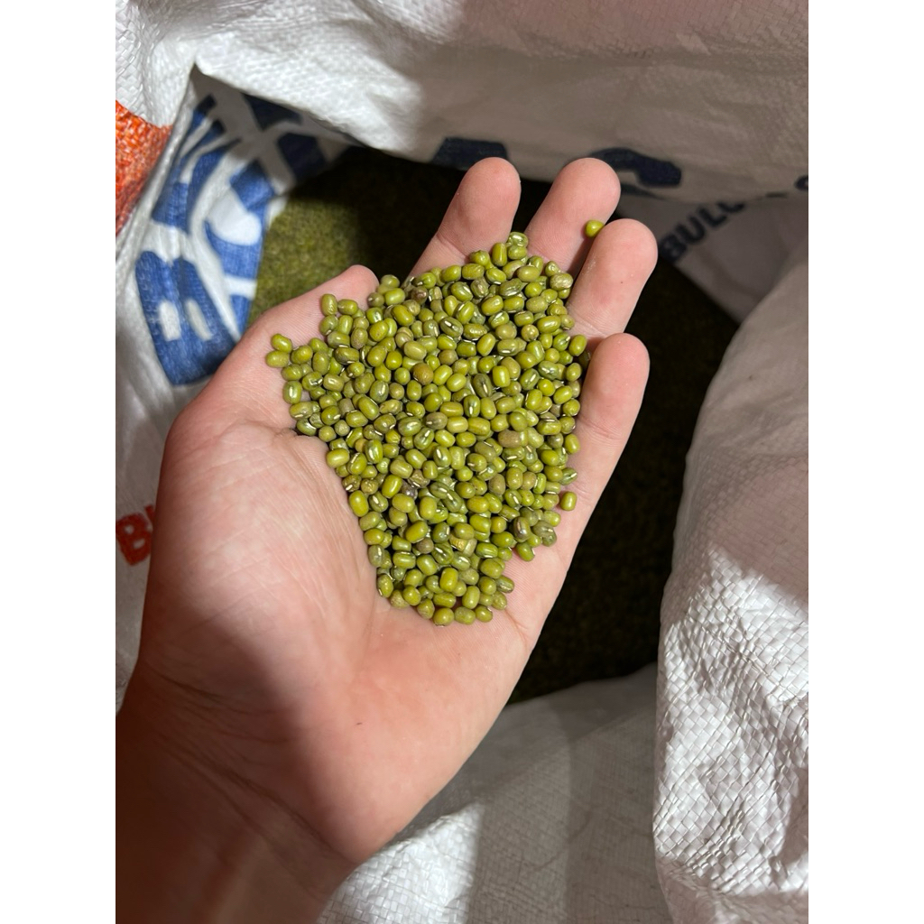 

Kacang Hijau Kapur Dan Kilat