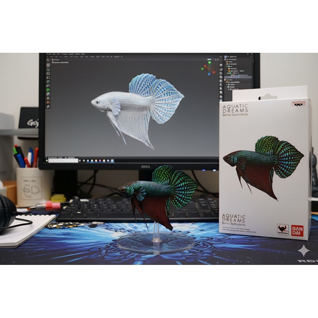 (kp. cijanteun, desa batulayang, cililin, kab. bandung barat) Hiasan Aquarium Wild Betta Smaragdina 