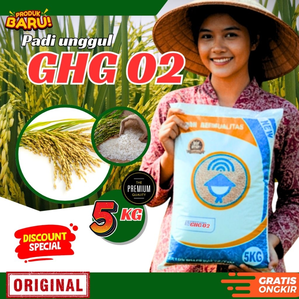 Benih padi unggul ghg 02 original kemasan 5kg