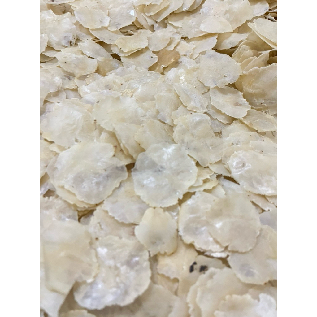 

EMPING MELINJO MENTAH 1KG