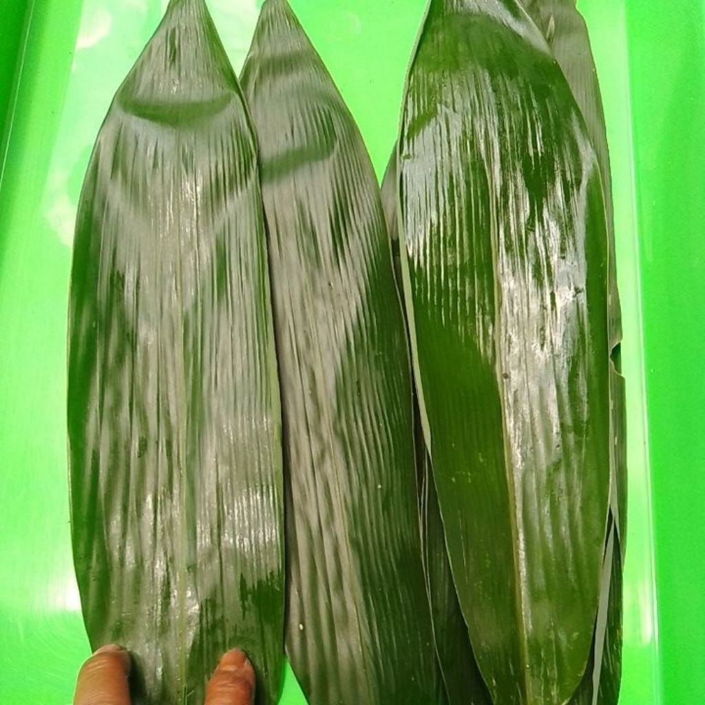 

daun bambu fres100 lembarbungkus bakcang