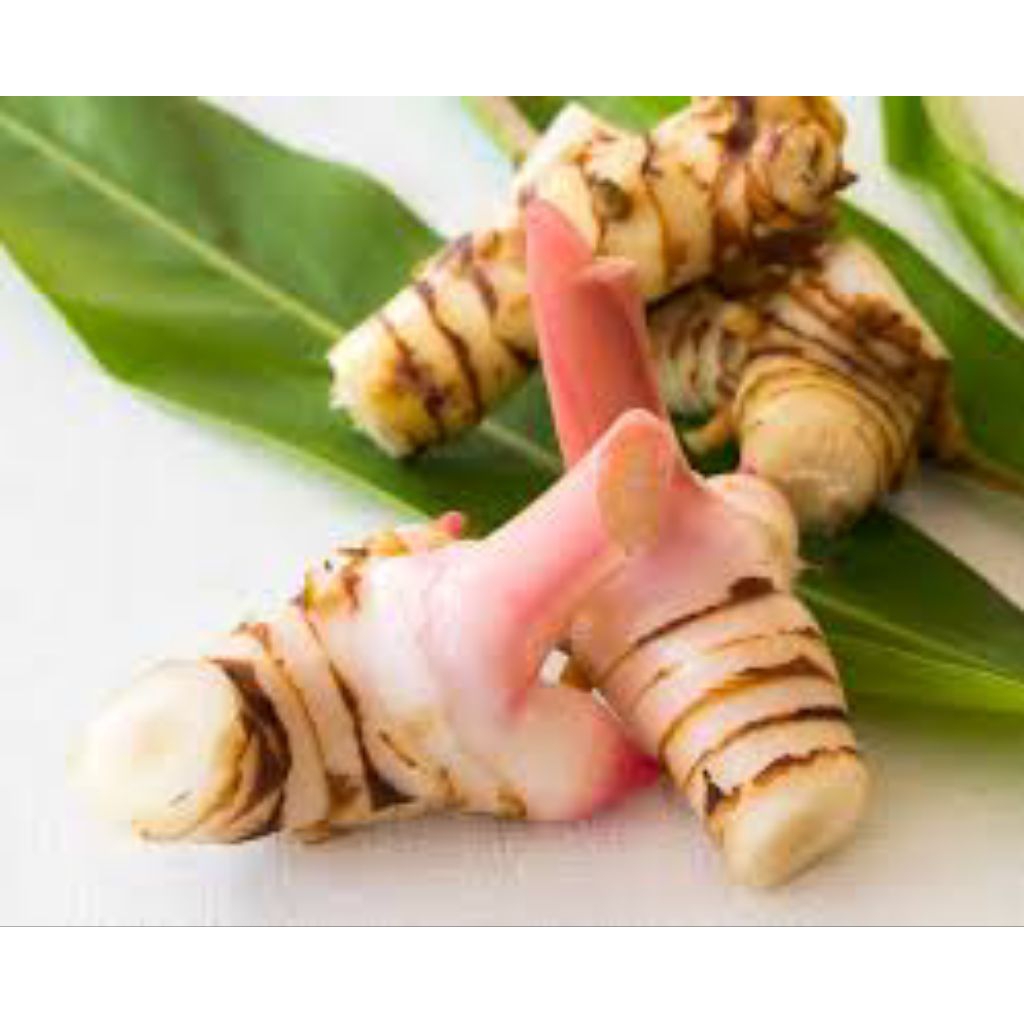 

LENGKUAS,LENGKOAS,LAOS FRESH 1KG