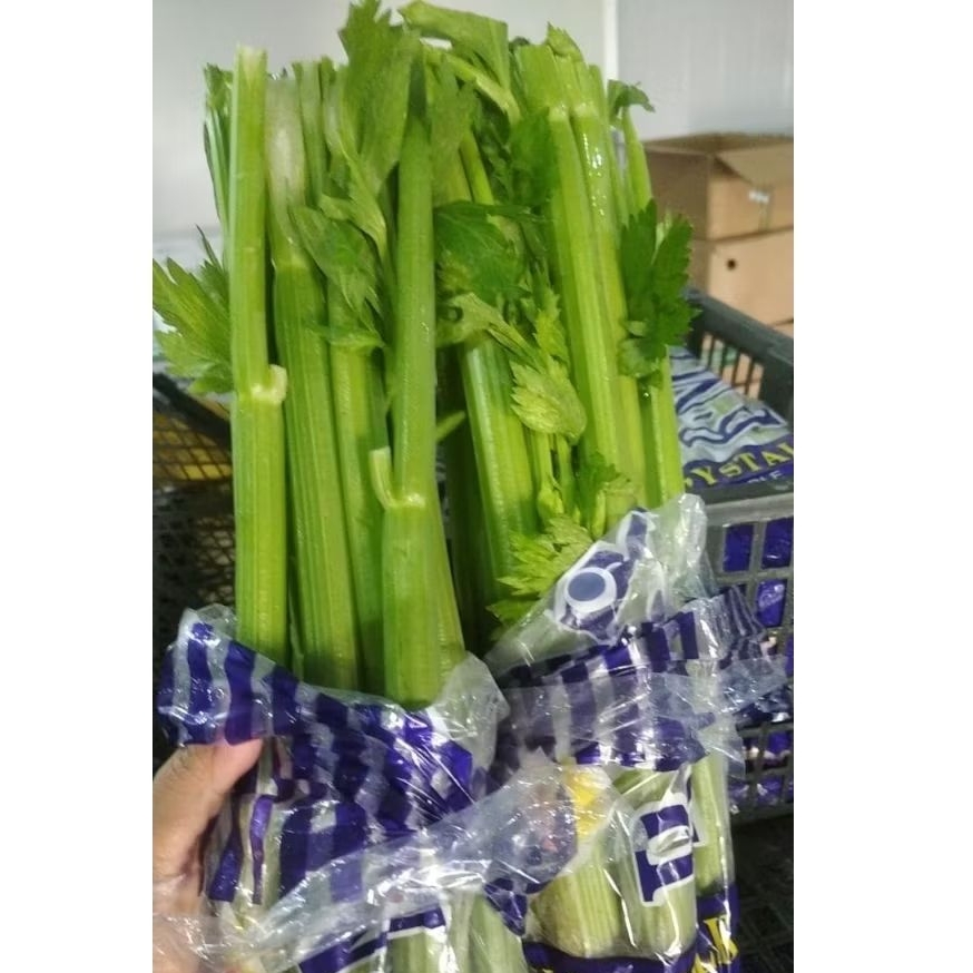 

seledri stik fresh 1 kg