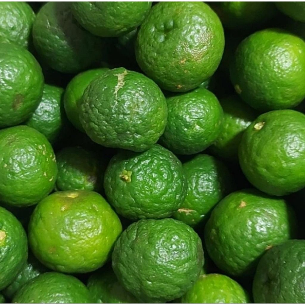 

1kg jeruk limau segar langsung petik