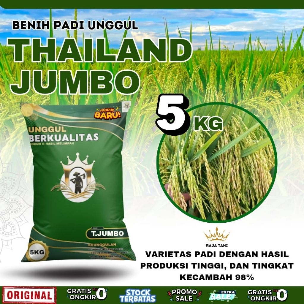 BENIH PADI BIBIT PADI THAILAND JUMBO ORIGINAL KEMASAN 5KG BERKUALITAS