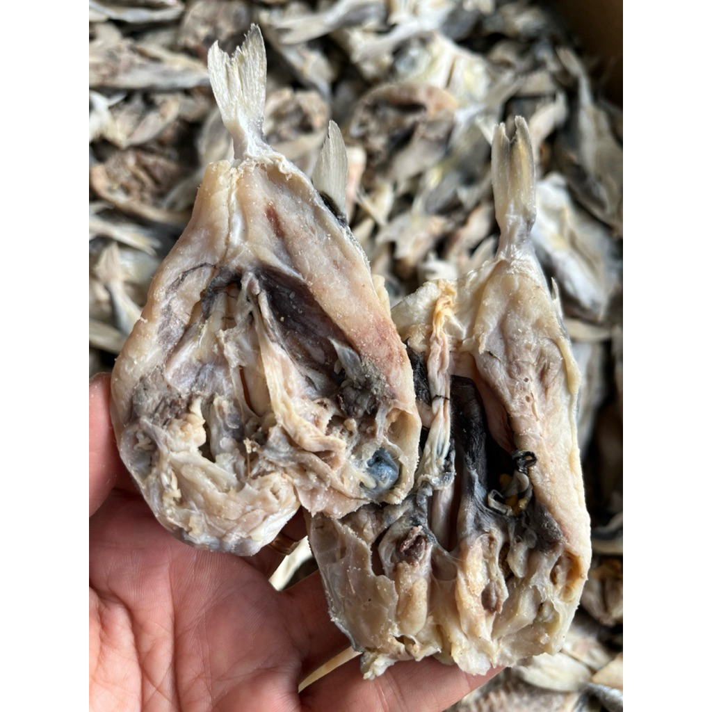 

ikan asin buntal belah ikan asin buntek belah berat 500gr asli tuban