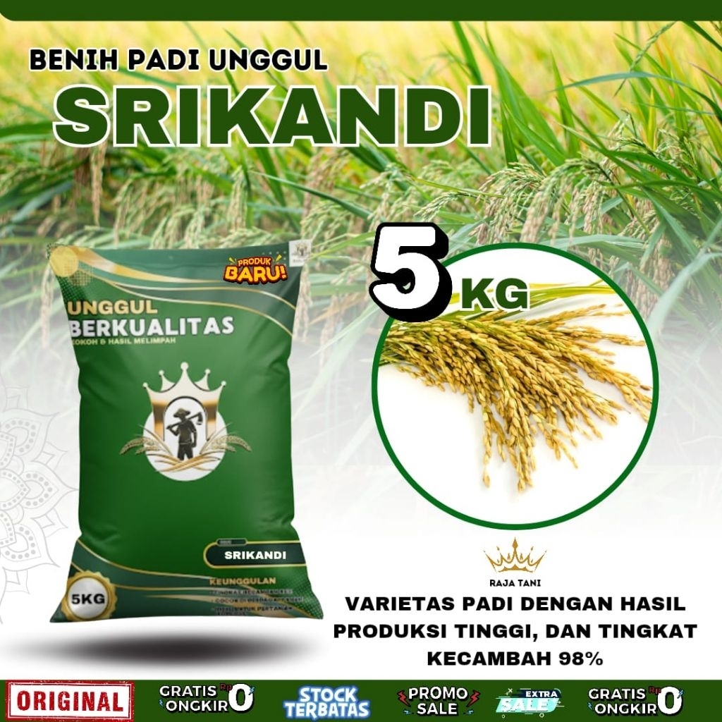 BENIH PADI BIBIT PADI SRIKANDI ORIGINAL KEMASAN 5KG BERKUALITAS