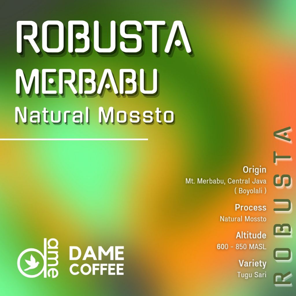 

Robusta Merbabu -Natural Mossto- Greenbean Biji Kopi Mentah 1kg