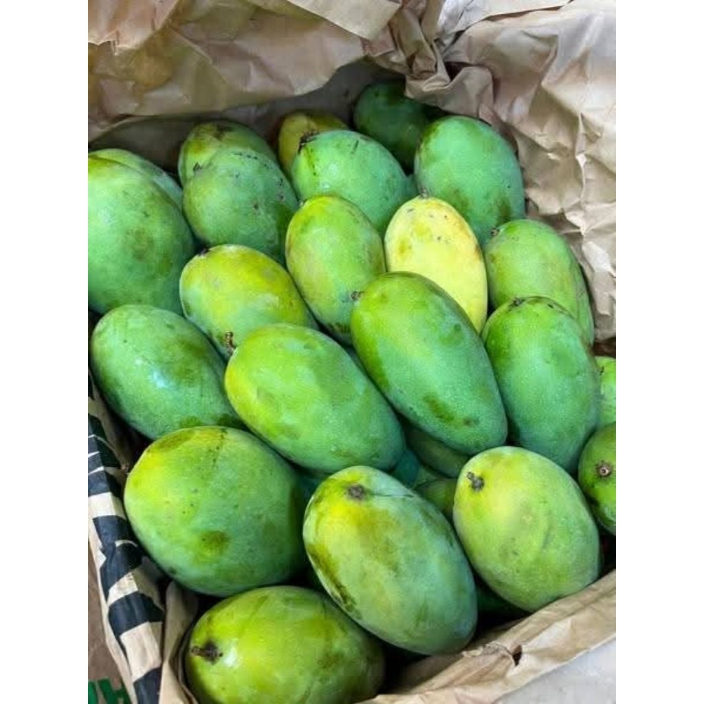 

MANGGA ALPUKAT/KG