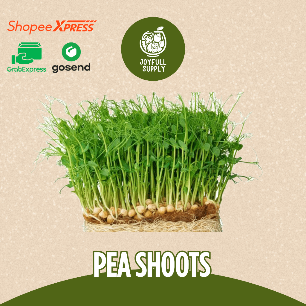 

Pea Shoots Micro Green / Joyfull Supply