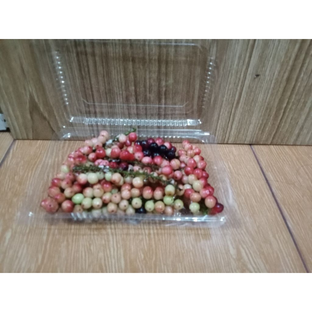 buah buni segar per pack