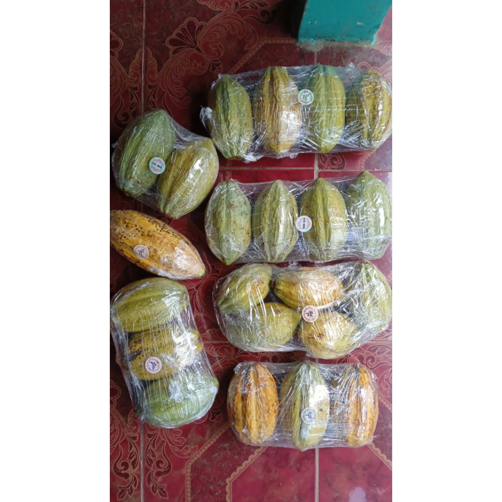 

BUAH KAKAO/BUAH COKLAT SEGAR