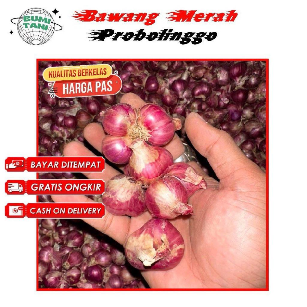 

1kg Bawang Merah Probolinggo Kering Ukuran Besar (A1)