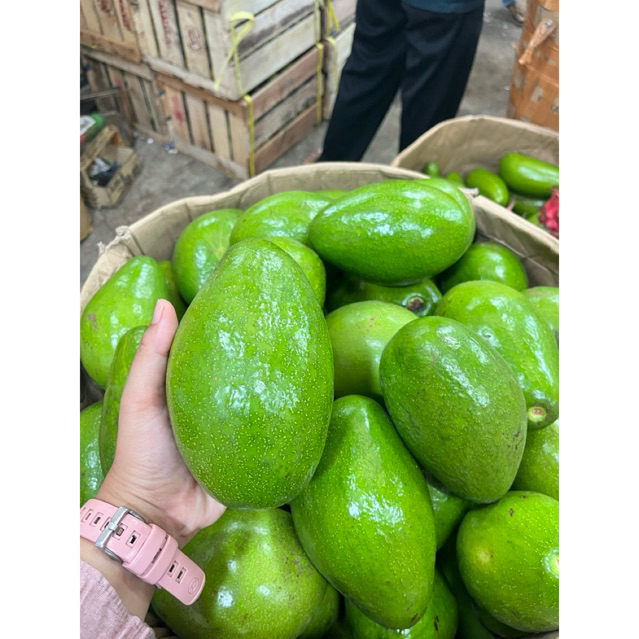 

Alpukat Mentega Lokal Jumbo 1 kg isi 2-3 buah