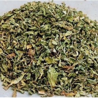 

Murah Daun Katuk Kering 500 gram / Daun Katuk Kering 250 gram / Daun Katuk Kering 100 gram Alami 100% Organik