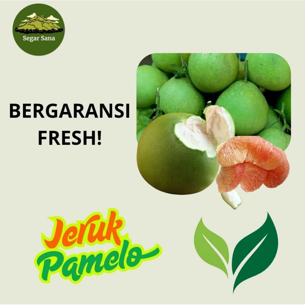 

JERUK PAMELO ASLI LERENG MURIA BERGARANSI FRESH (800-900GRAM)