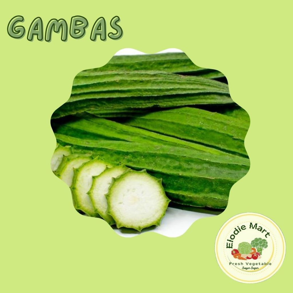 

SAYUR GAMBAS 250g Fresh Instan