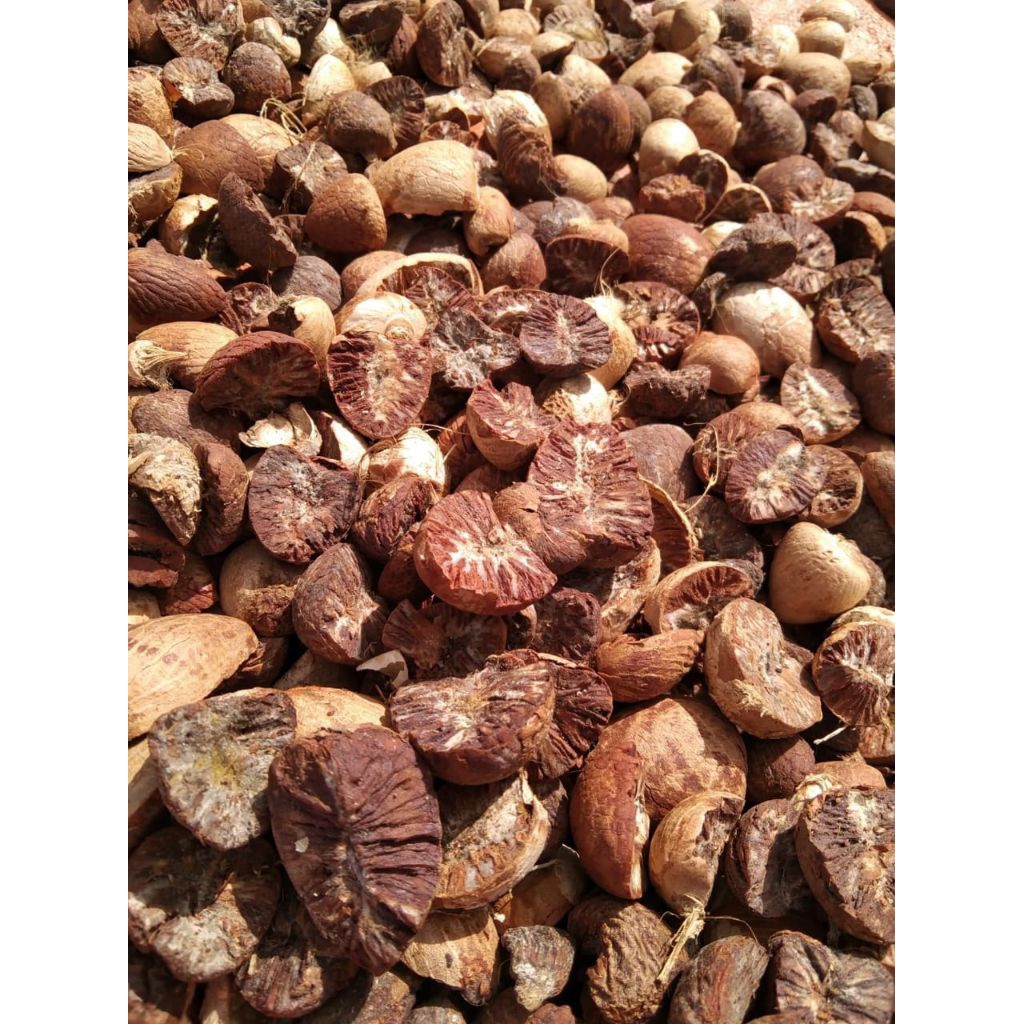 

buah pinang kering - pinang kering 1 kg