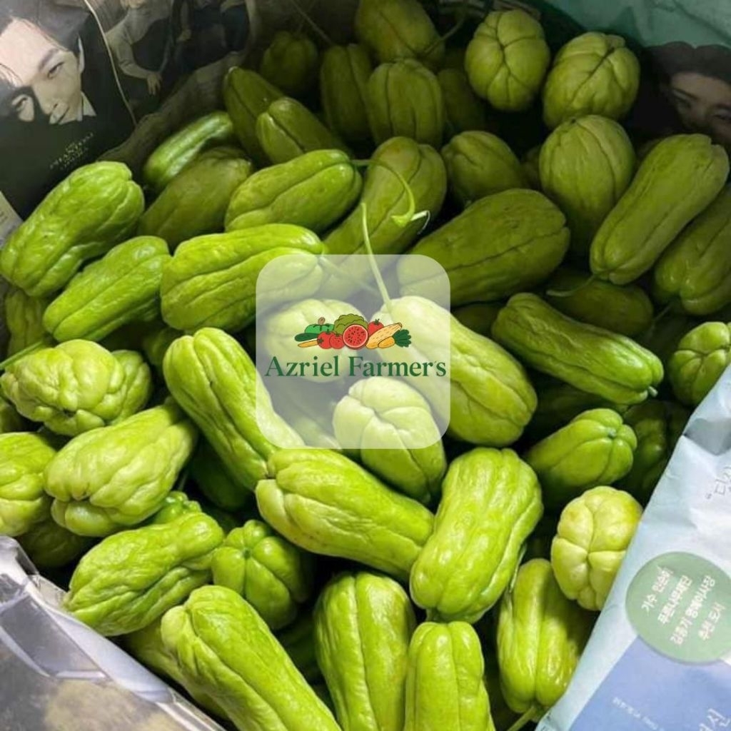 

Labu Siem Fresh / 1kg Langsung petik di kebun