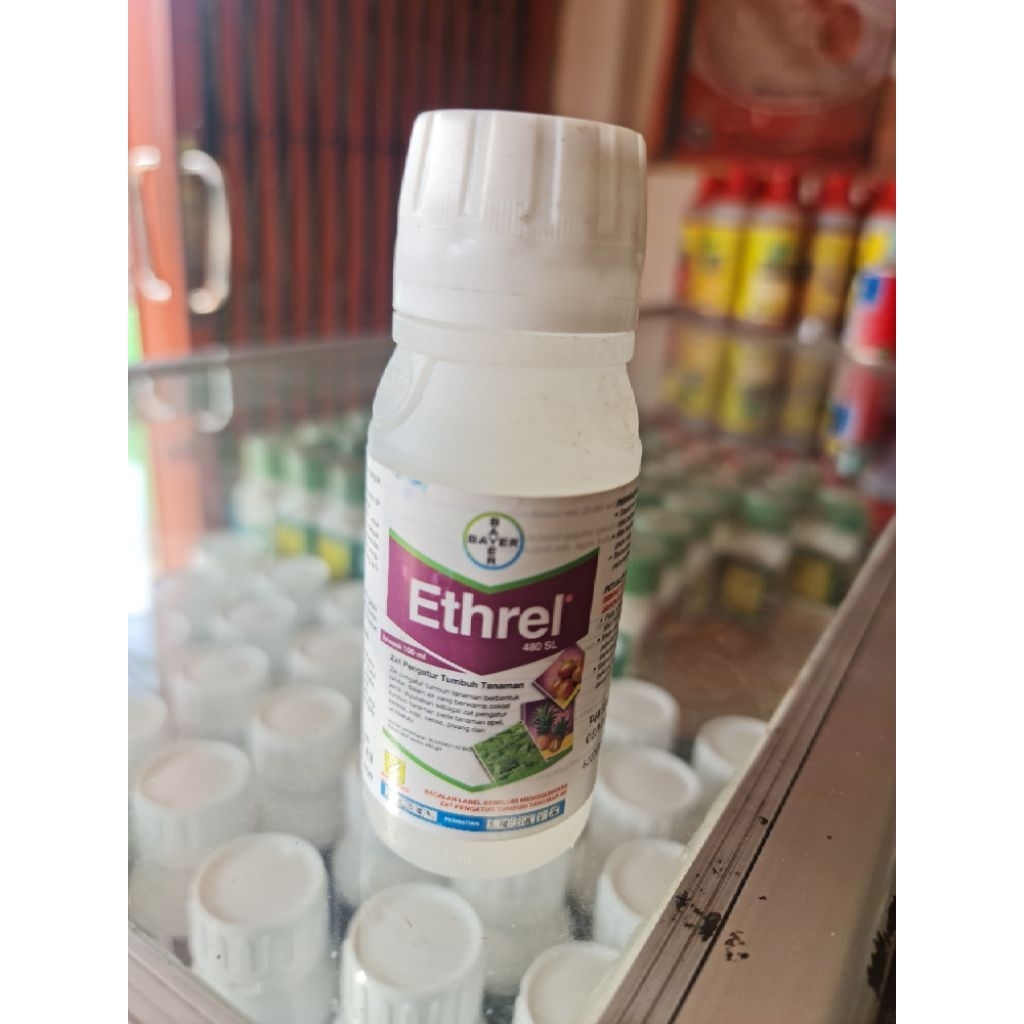 ETHREL 480SL - PEMATANG BUAH