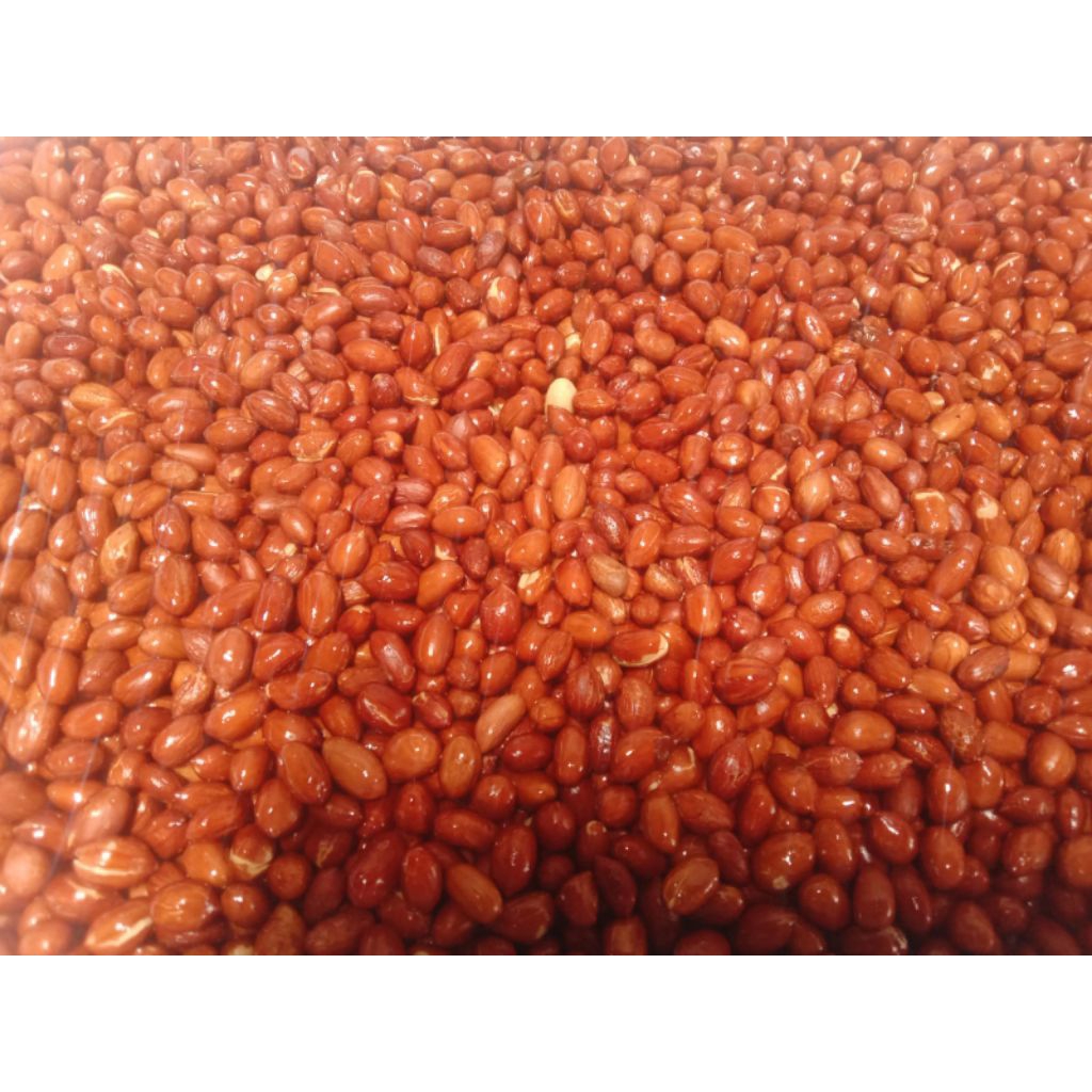 (250/500gram) Kacang goreng Asin Gurih /Kacang Tanah Goreng