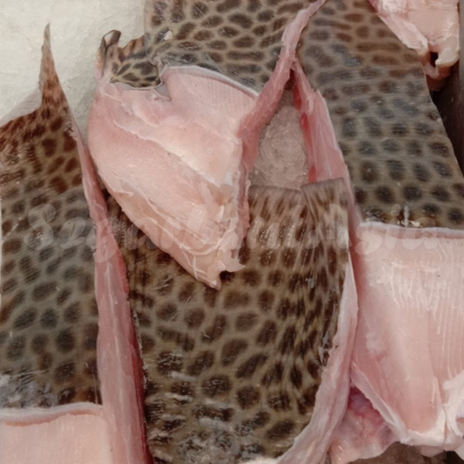 

Ikan Pari 1Kg Ikan Pari Fillet